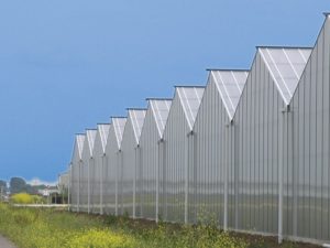 Picture of plastic for Greenhouses