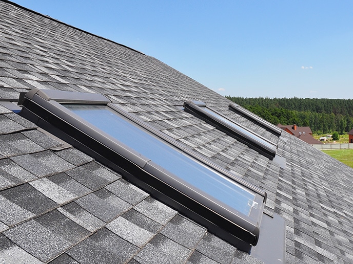 Skylights image