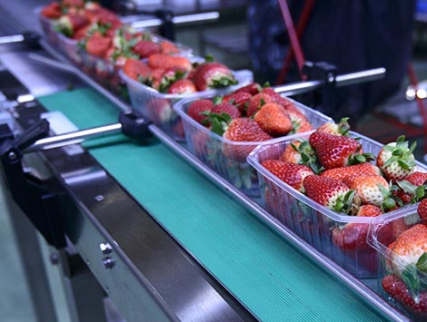 Packaging and Conveying Equipment image